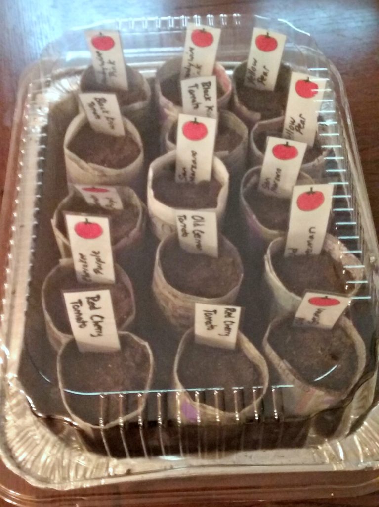 DIY Greenhouse! Start gardening with your kids this spring! Free printable garden labels!