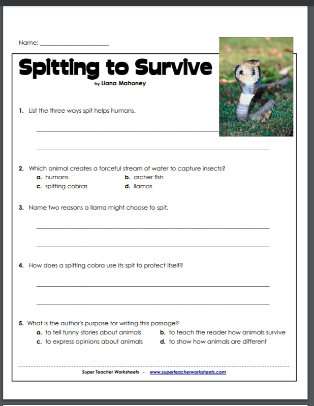 #FreeProductReceived Super Teacher Worksheets is a great low cost resource for printable worksheets and activities for your homeschool. #hsreviews #superteacherworksheets