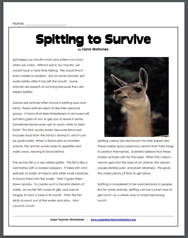 #FreeProductReceived Super Teacher Worksheets is a great low cost resource for printable worksheets and activities for your homeschool. #hsreviews #superteacherworksheets