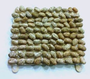 DIY Base Ten Counters to Teach Place Value!