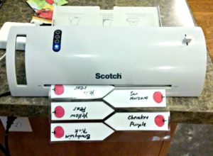 Gardening with your kids! Free printable garden labels!