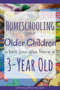 Need help figuring out what to do with your younger children while homeschooling? Click and read some great tips and activities that will help!