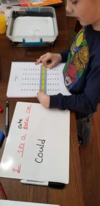 PRIDE Reading Program is an excellent curriculum for teaching struggling or beginning readers!