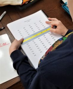 PRIDE Reading Program is an excellent curriculum for teaching struggling or beginning readers!