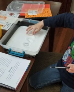 PRIDE Reading Program is an excellent curriculum for teaching struggling or beginning readers!