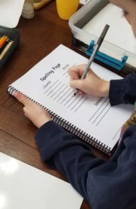 PRIDE Reading Program is an excellent curriculum for teaching struggling or beginning readers!