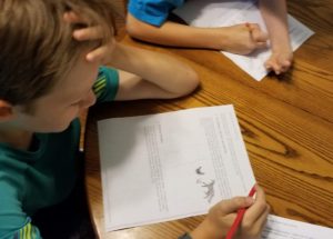 #freeproductreceived We have enjoyed using the Master Logic and Math Problem Solving from the Critical Thinking Co. to increase our kids problem solving and critical thinking ability. #hsreviews #thecriticalthinkingco, #criticalthinking, #empowerthemind