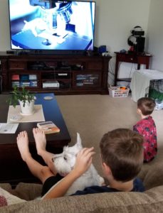 #FreeProductReceived Journey Homeschool Academy's course Experience Biology Elementary is fun, easy to use, and provides clear in-depth Science instruction for me to use with my kids. #hsreviews #ExperienceBiology