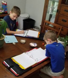 #FreeProductReceived Journey Homeschool Academy's course Experience Biology Elementary is fun, easy to use, and provides clear in-depth Science instruction for me to use with my kids. #hsreviews #ExperienceBiology