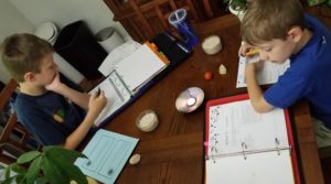 #FreeProductReceived Journey Homeschool Academy's course Experience Biology Elementary is fun, easy to use, and provides clear in-depth Science instruction for me to use with my kids. #hsreviews #ExperienceBiology