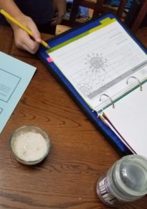 #FreeProductReceived Journey Homeschool Academy's course Experience Biology Elementary is fun, easy to use, and provides clear in-depth Science instruction for me to use with my kids. #hsreviews #ExperienceBiology