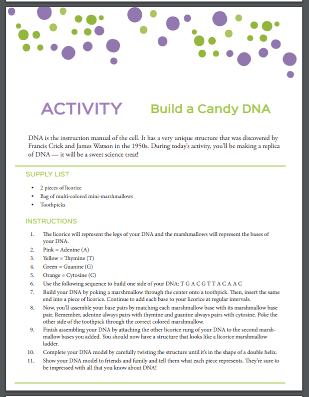 Elementary Science With Journey Homeschool Academy — Entirely At Home