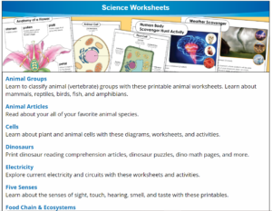 #FreeProductReceived Super Teacher Worksheets is a great low cost resource for printable worksheets and activities for your homeschool. #hsreviews #superteacherworksheets