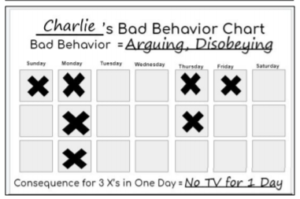 This Kid's Behavior Chart System will Guide you in helping you improve your child's behavior.