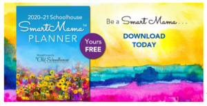 Free Product Received. SchoolhouseTeachers.com is so much more than a homeschool curriculum. Check how it can be a resource for your homeschool out now! #hsreviews, #schoolhouseteachers #homechool #onlineclasses #allinonecurriculum #homeschoolonline #homeschoolcurriculum #onlineteaching #digitallearning