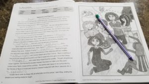 Complimentary Product Received - Critical Thinking Company's Book Vocabulary Virtuoso is a great resource for increasing Vocabulary knowledge for Middle School Students.