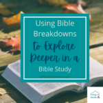 Complimentary product received ~ Bible Breakdowns are a great resource for kids and adults, homes and churches, to provice information and context for your Bible Study.